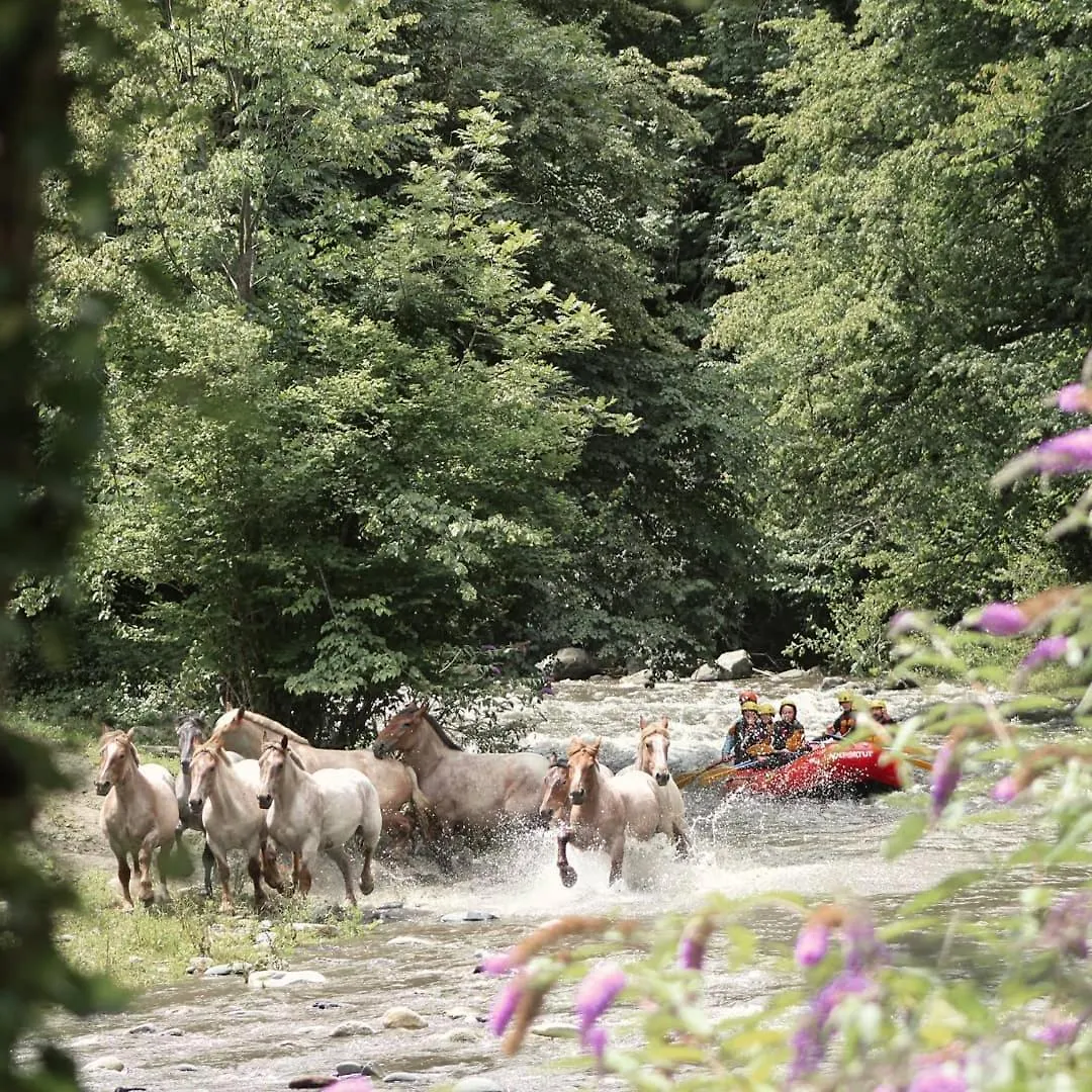 Holacamp Aran Aventura Les Spain